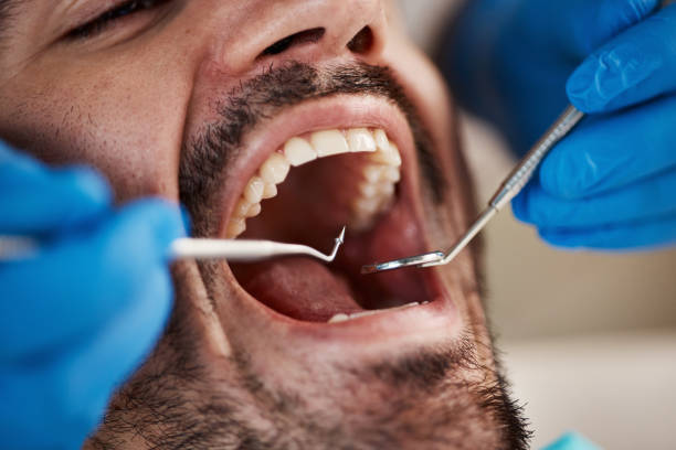  Encantada Ranchito El Calaboz, TX Emergency Dentist Pros