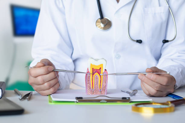 Best Emergency Treatment for Oral Infections in Encantada Ranchito El Calaboz, TX